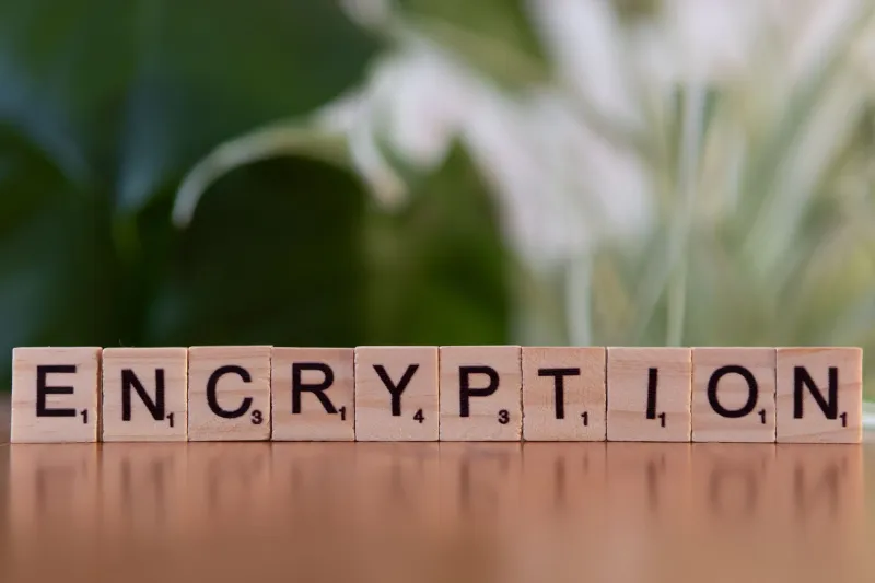 Free SSL vs. Paid SSL: What Your Padlock Icon Actually Guarantees